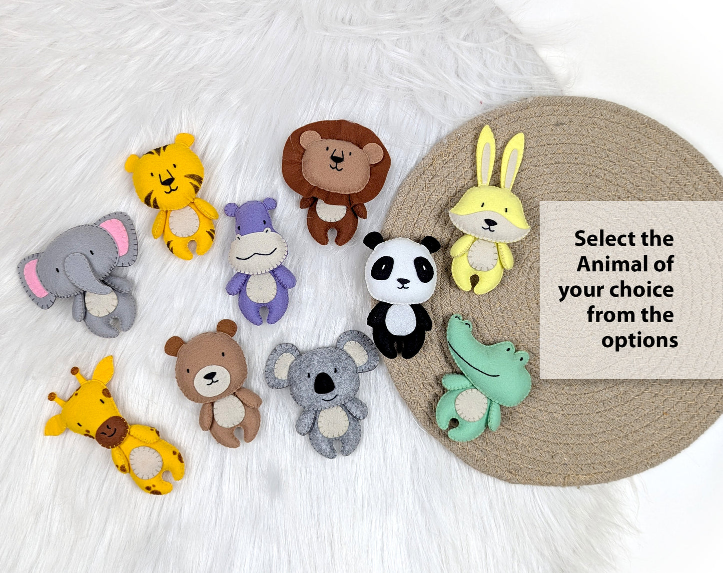 Animal Name Wall Hanging